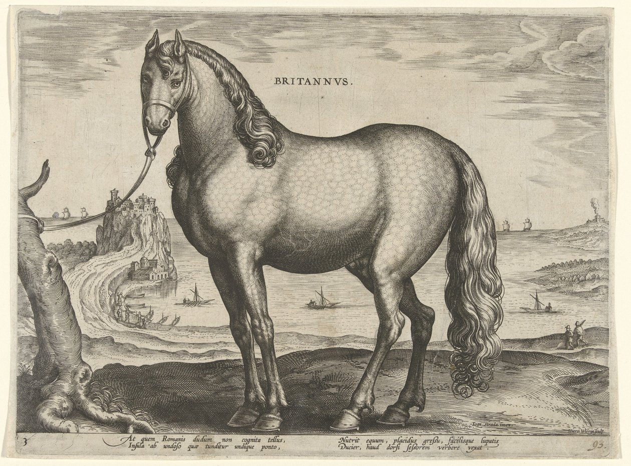 Cavallo della Bretagna da Hieronymus Wierix
