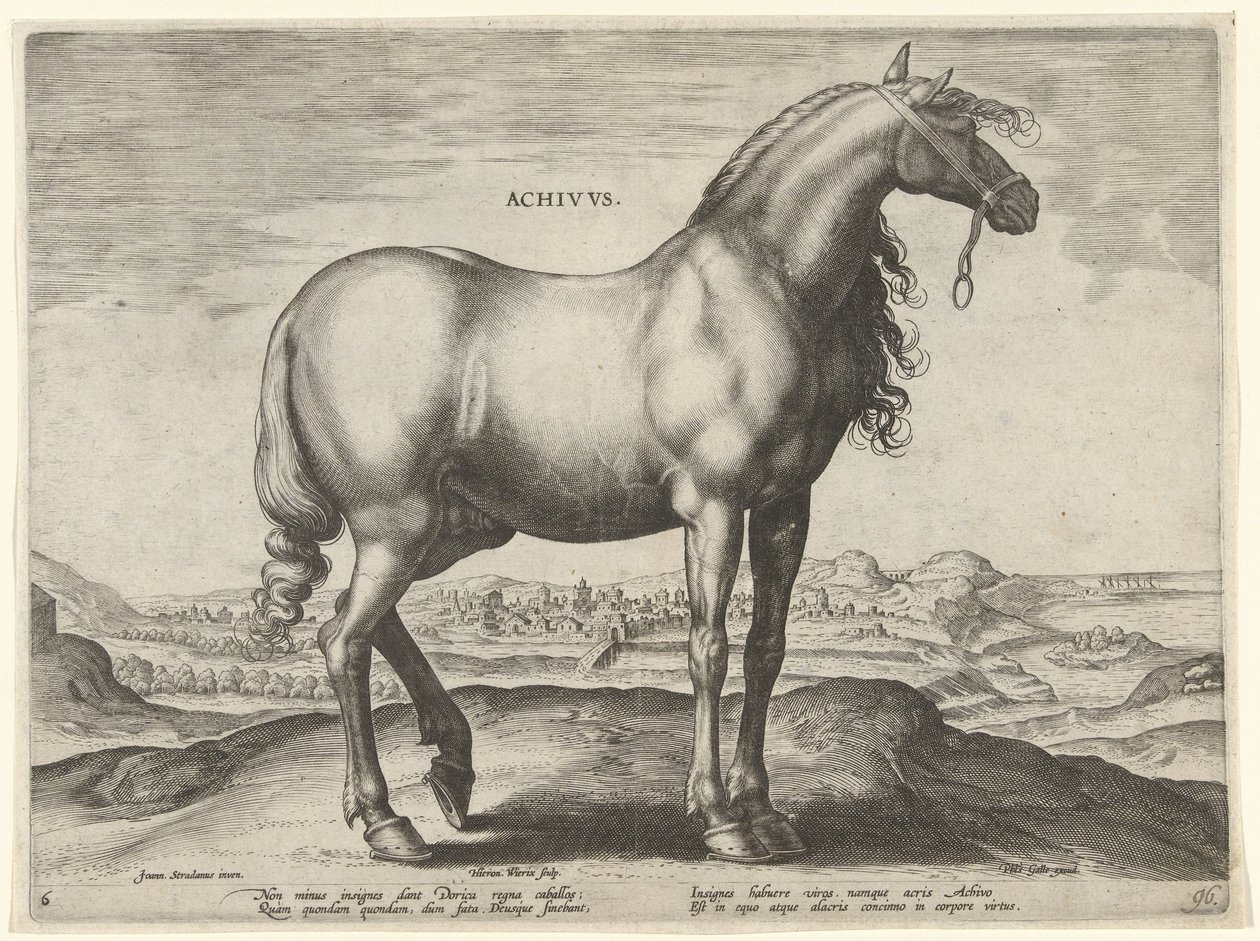 Cavallo dalla Grecia (Achivus) da Hieronymus Wierix