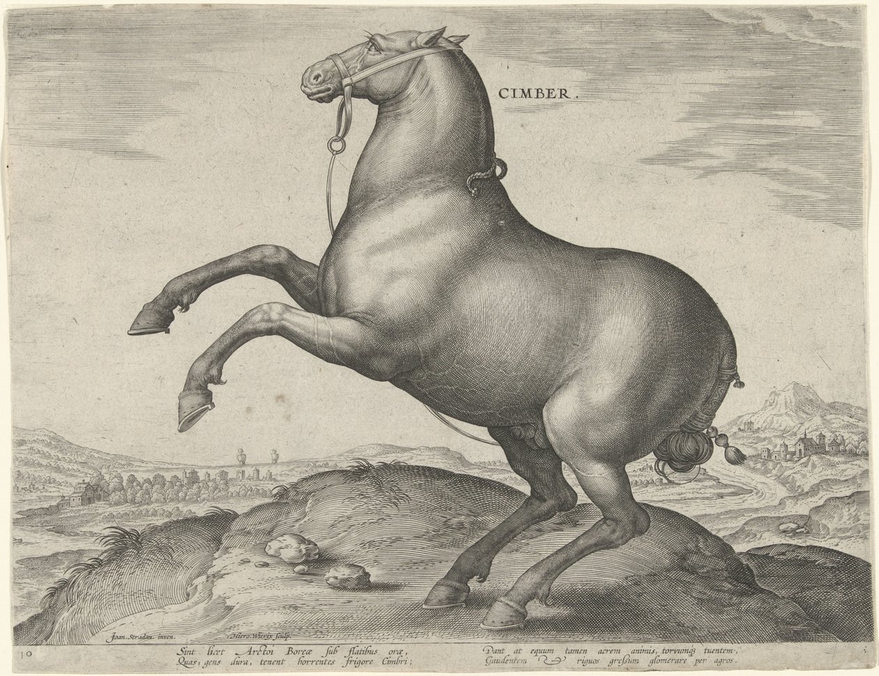 Cavallo della Scizia da Hieronymus Wierix