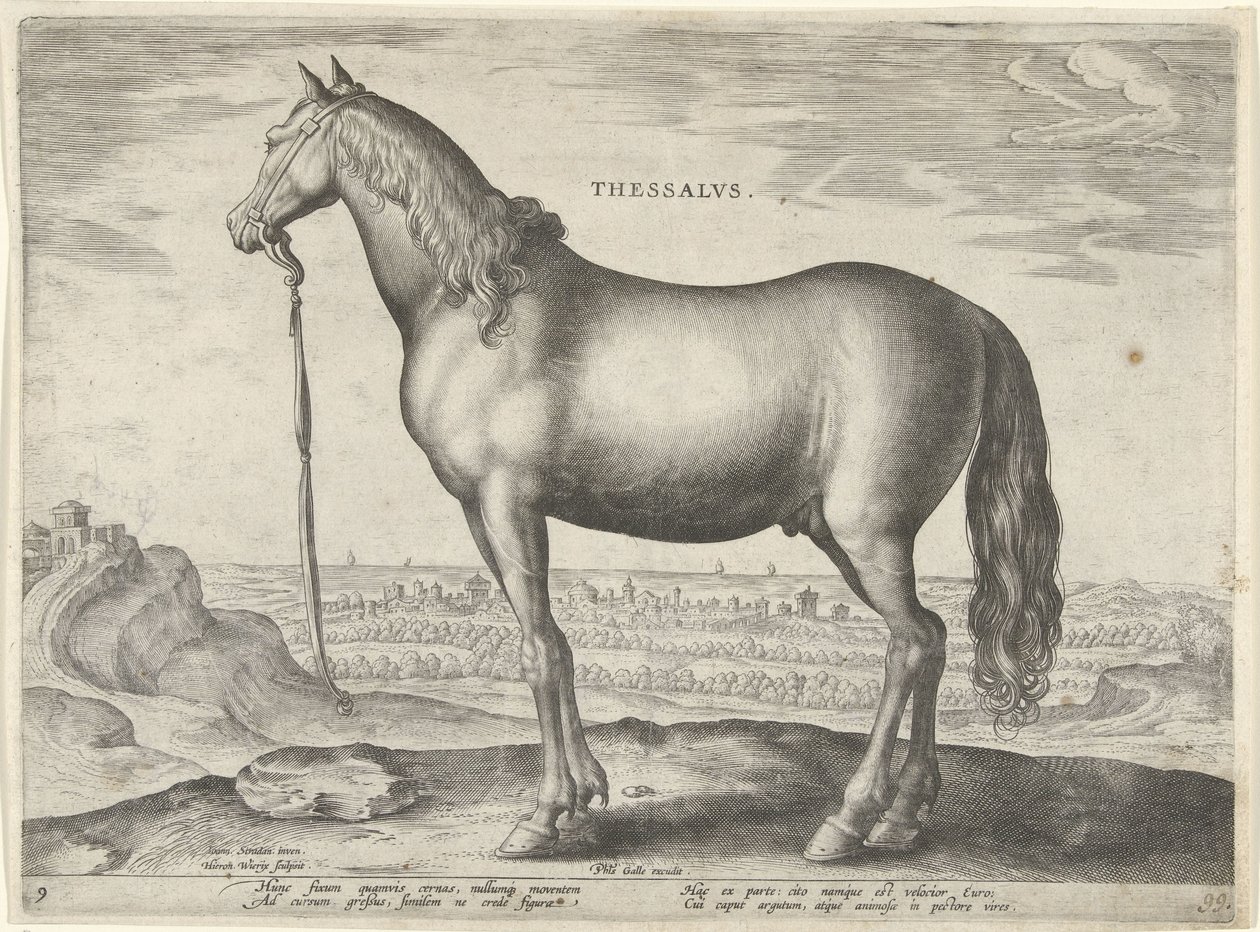 Cavallo della Tessaglia da Hieronymus Wierix