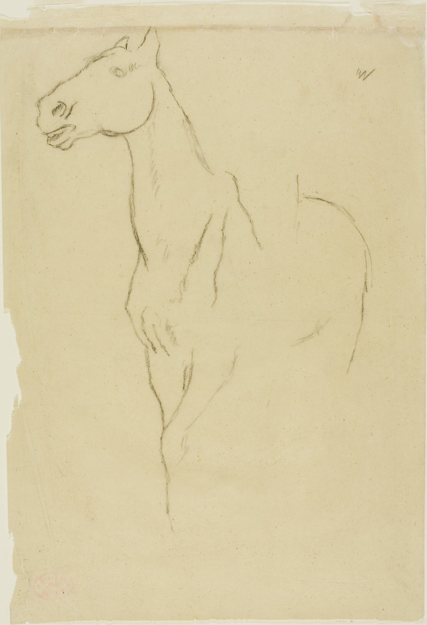 Cavallo girato a tre quarti da Hilaire Germain Edgar Degas