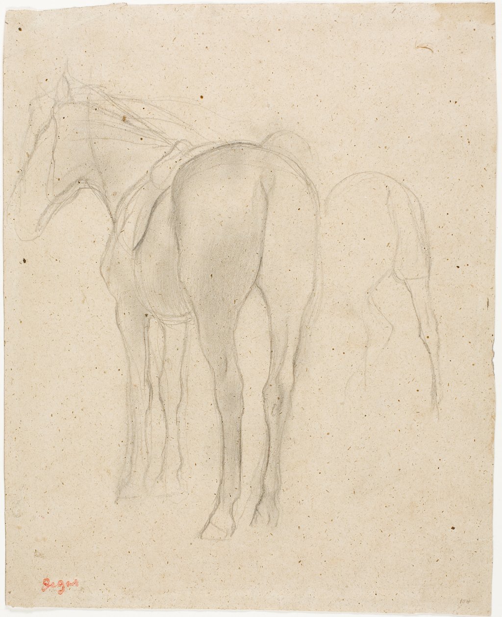 Studi su un cavallo da Hilaire Germain Edgar Degas