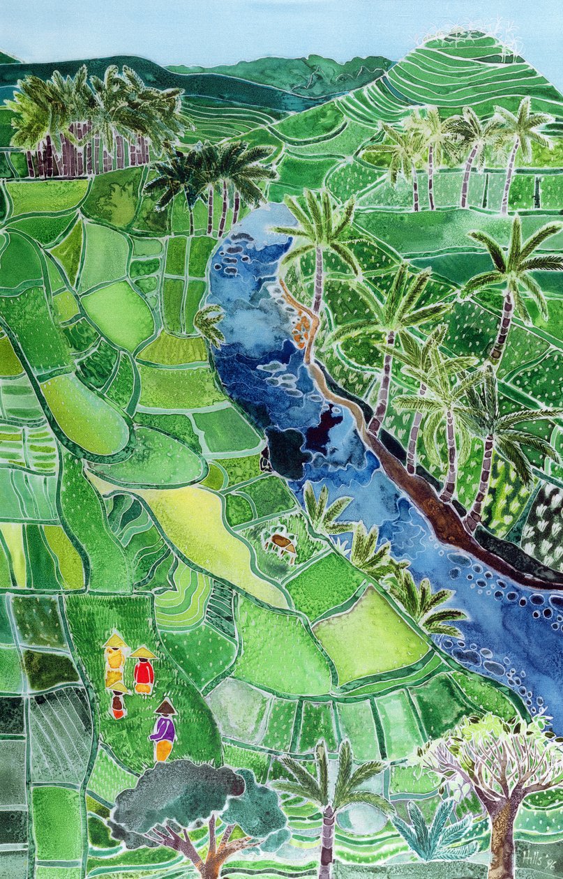 Fiume Agung, Bali, 1996 da Hilary Simon