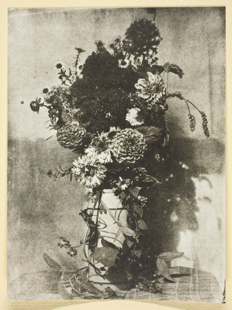 Bouquet di fiori da Hippolyte Bayard