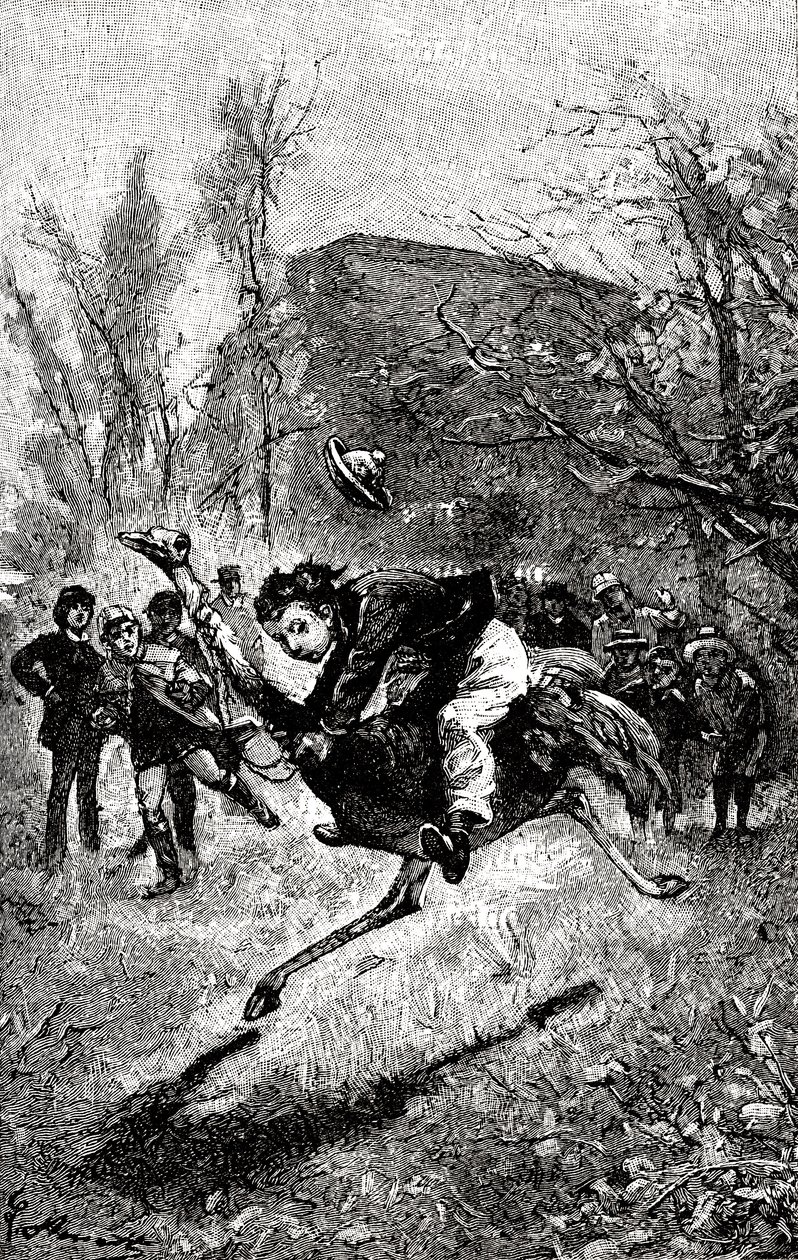 Il giovane Service cavalca uno struzzo. Incisione da Hippolyte Leon Benett