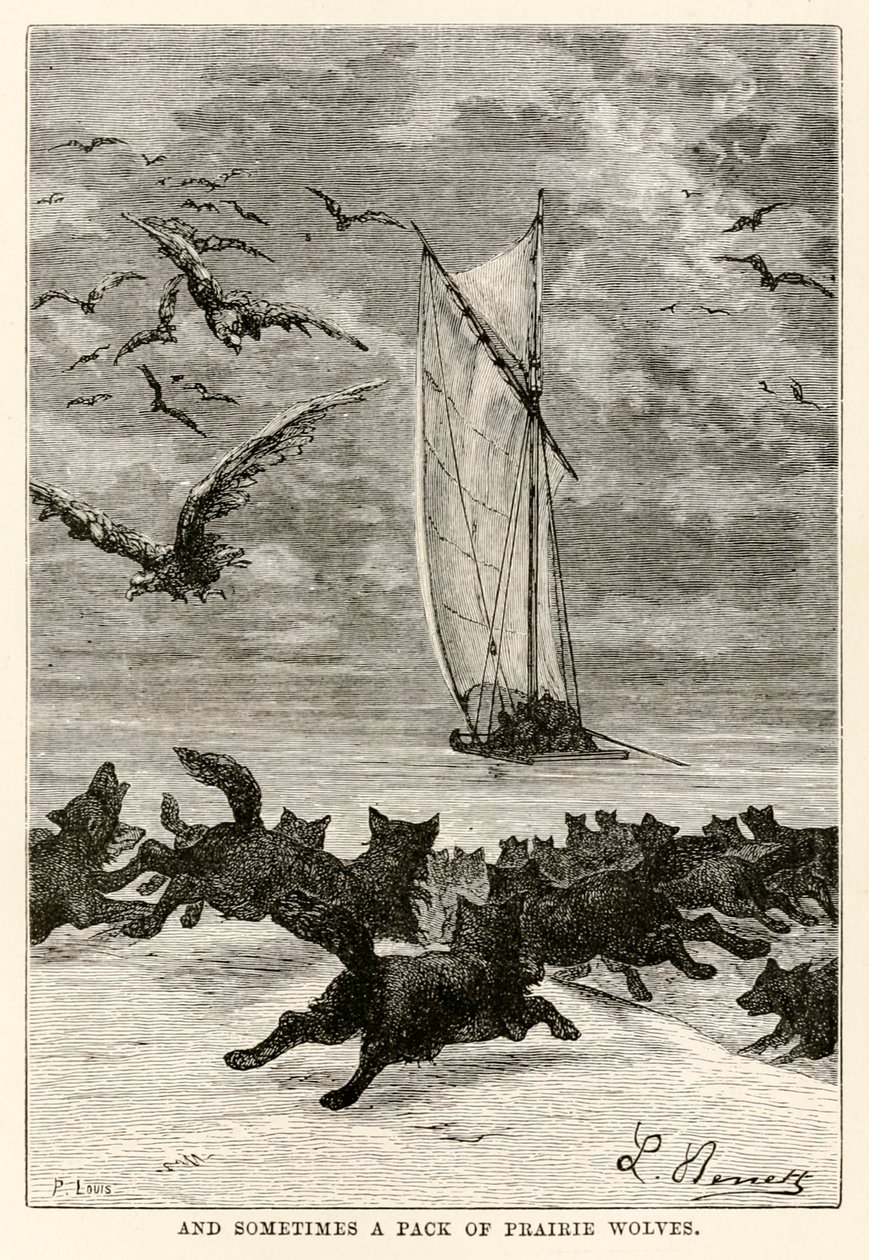 E a volte un branco di lupi della prateria, da Il giro del mondo in ottanta giorni di Jules Verne (1828-1905) inciso da Louis, 1873 da Hippolyte Leon after Benett