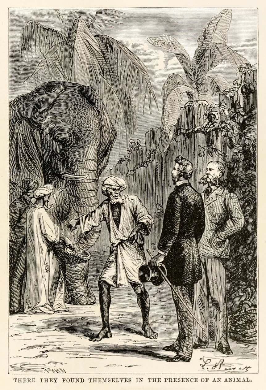 Lì si trovarono di fronte a un animale, da Il giro del mondo in ottanta giorni di Jules Verne (1828-1905) inciso da Adolphe François Pannemaker (1822-1900), 1873 da Hippolyte Leon after Benett