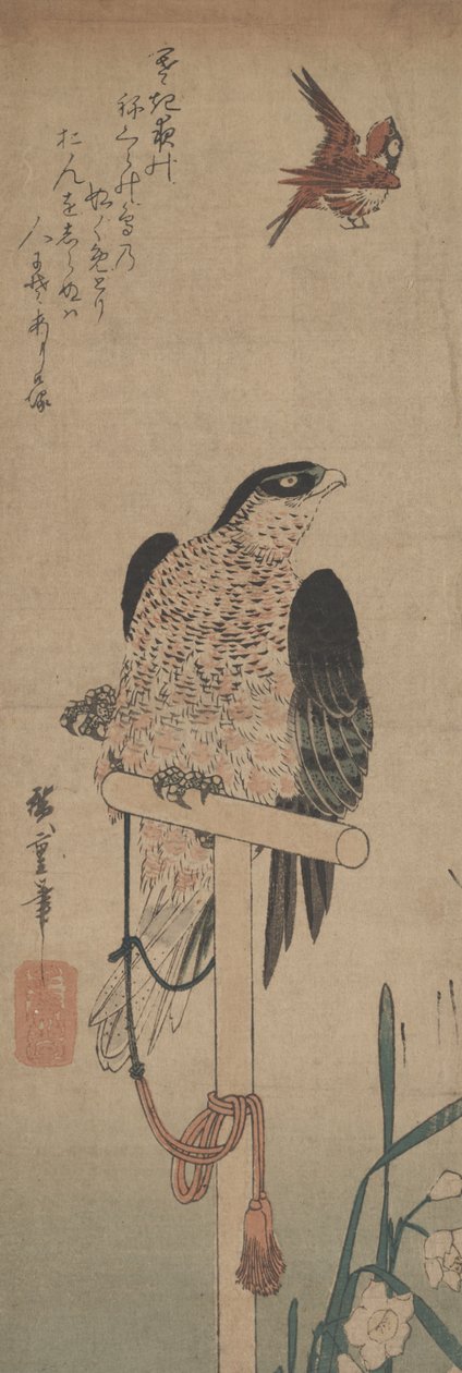 Falco su posatoio, passero e narciso da Hirokage Utagawa