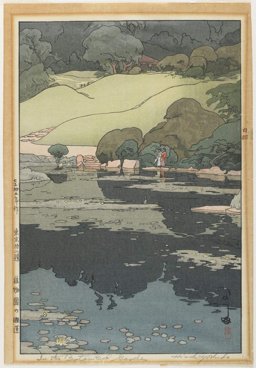 Ninfee in un giardino botanico da Hiroshi Yoshida