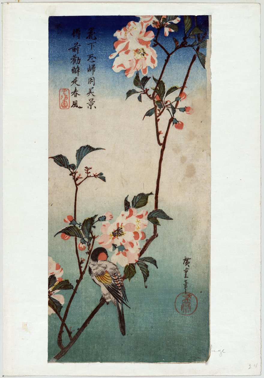 Kaido ni Shokin (Piccolo uccello su un ramo di Kaidozakura) da Utagawa Hiroshige