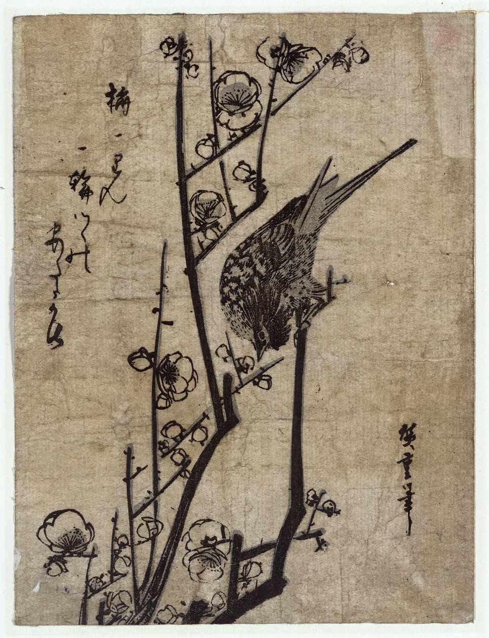 Ume ni Uguisu (Fiori di pruno e usignolo) da Utagawa Hiroshige