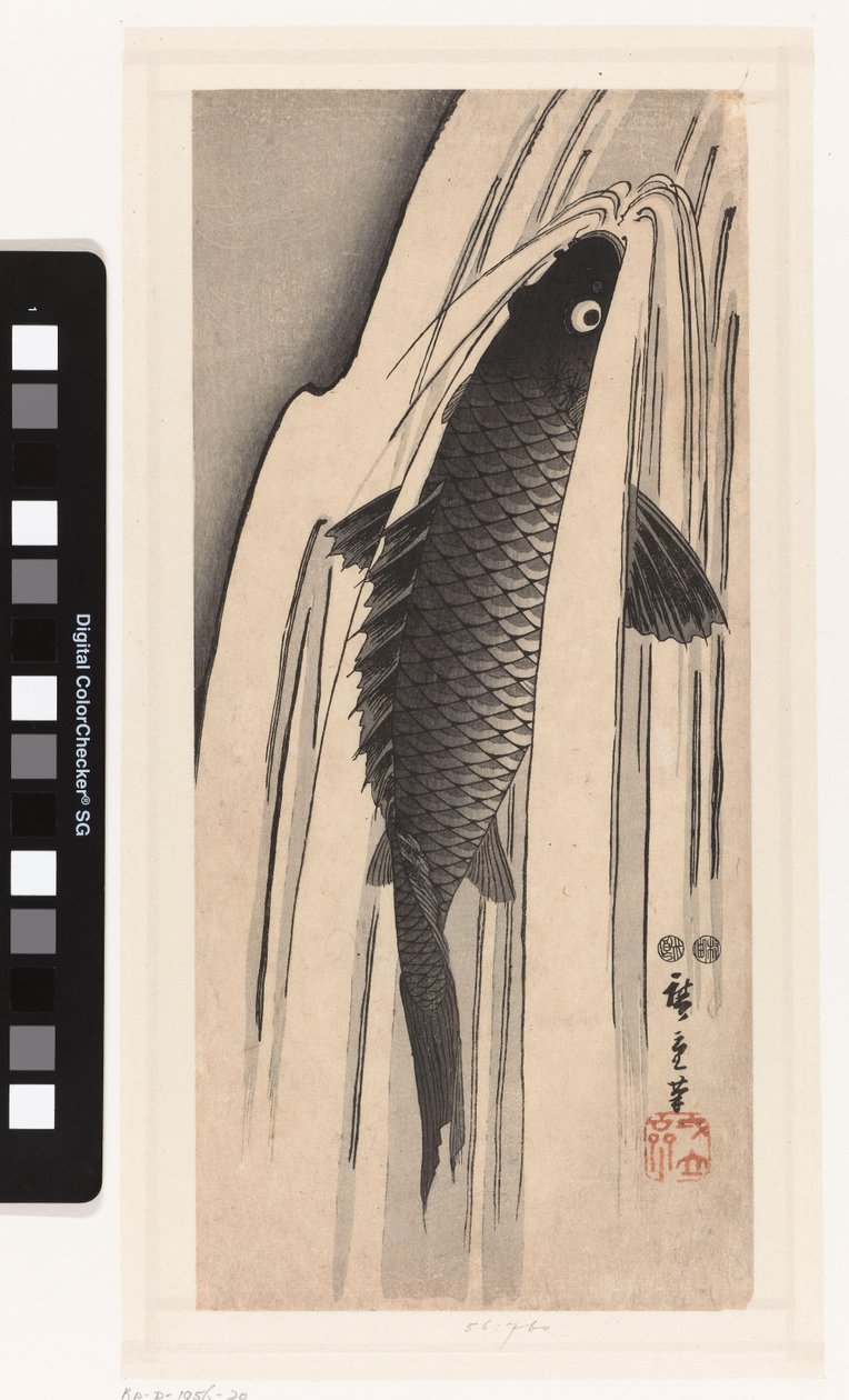 Carpa che nuota contro una cascata da Hiroshige (I) , Utagawa