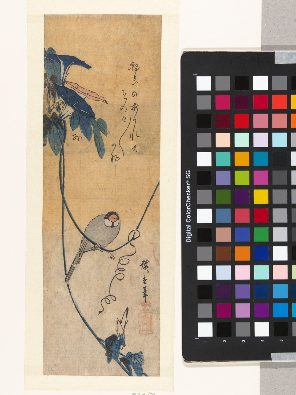 Uccello e convolvolo blu da Hiroshige (I) , Utagawa