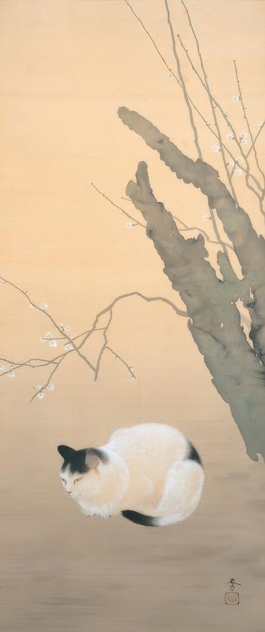 Hishida Shunso, Gatto e fiori di prugno da Hishida shunso