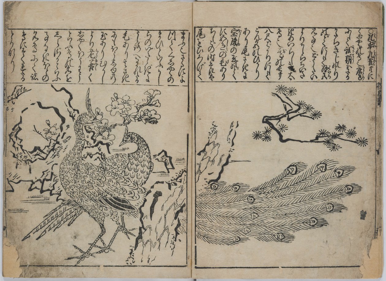 Una collezione di fiori e uccelli (Kacho zukushi) da Hishikawa Moronobu