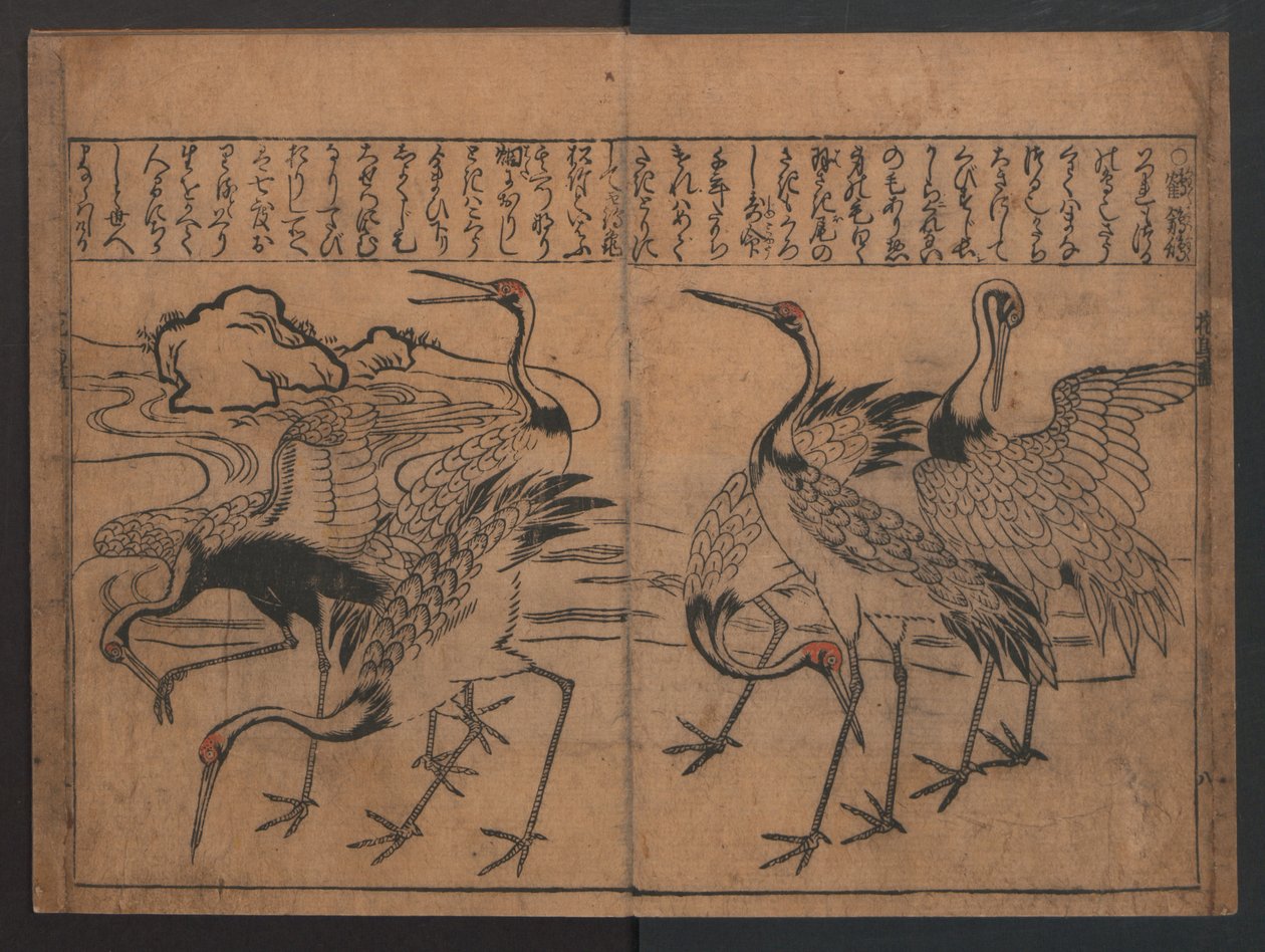 Illustrationen von Vögeln und Blumen (Kachō e-zukushi) da Hishikawa Moronobu