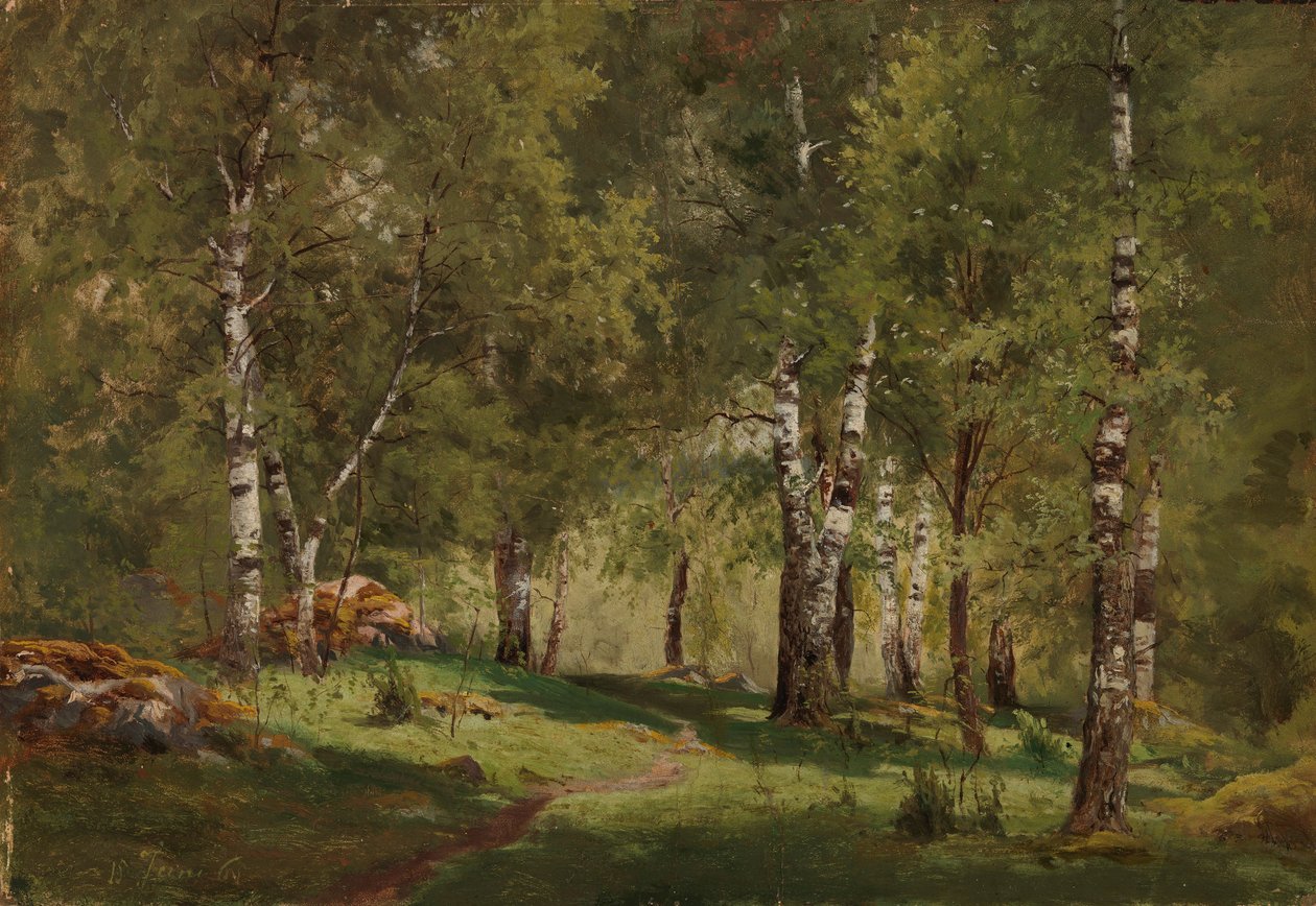 Interno di un boschetto di betulle da Hjalmar Munsterhjelm