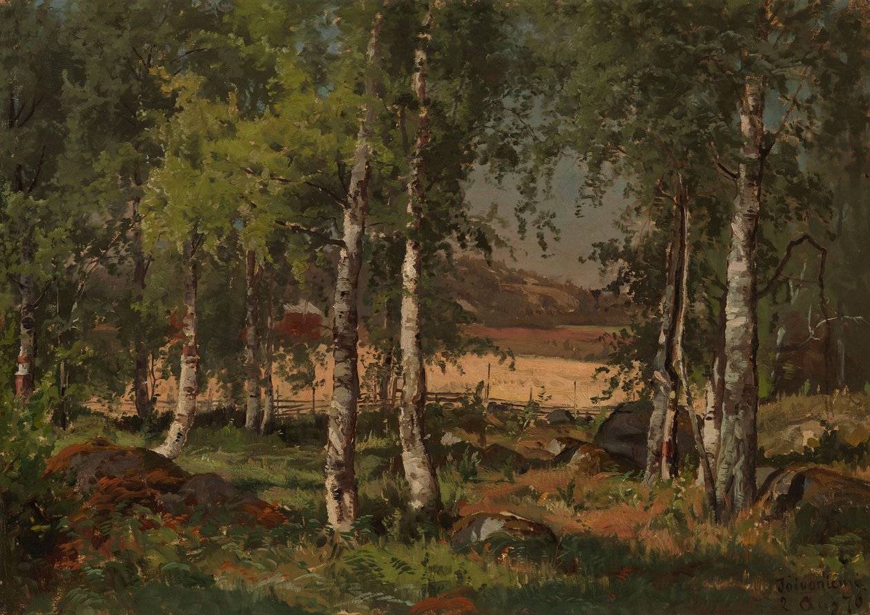 Paesaggio con boschetto di betulle e campo di segale da Hjalmar Munsterhjelm