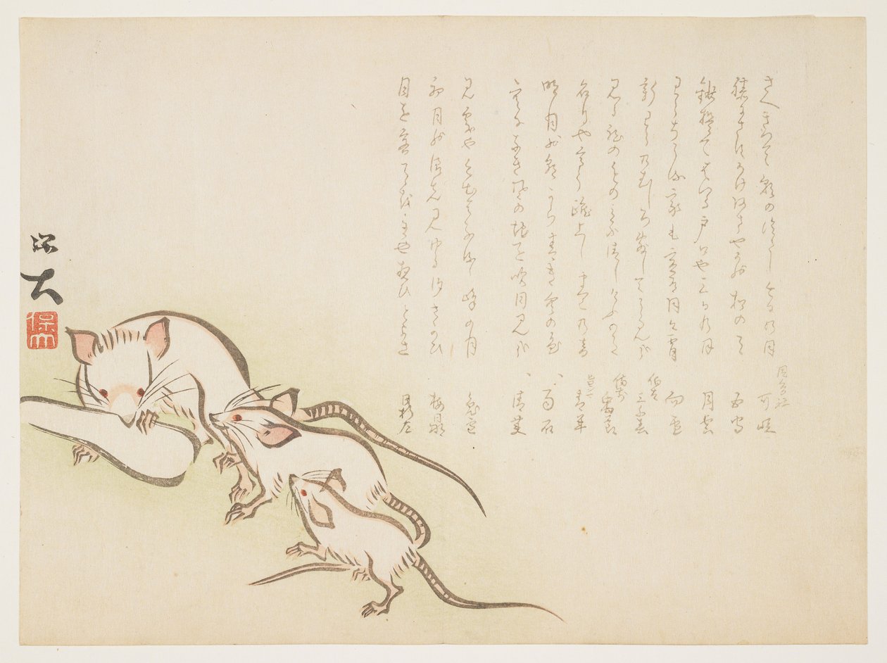 (Topi bianchi), gennaio 1864 da Hodai