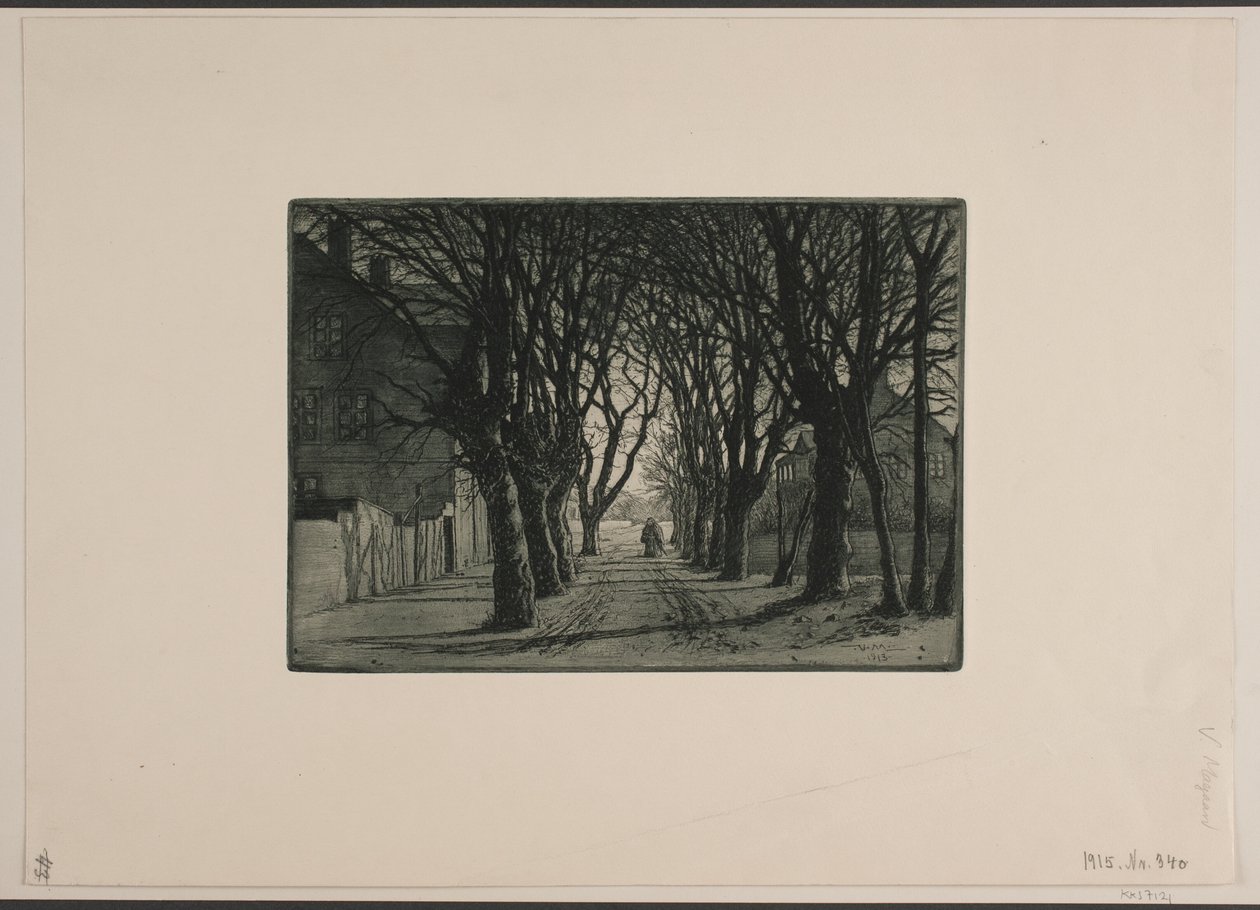 Viale da Holger Valdemar Rasmussen Magaard