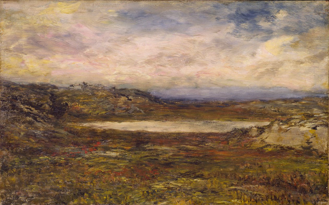 Costa Selvaggia, Newport, ca. 1885-1895 da Homer Dodge Martin