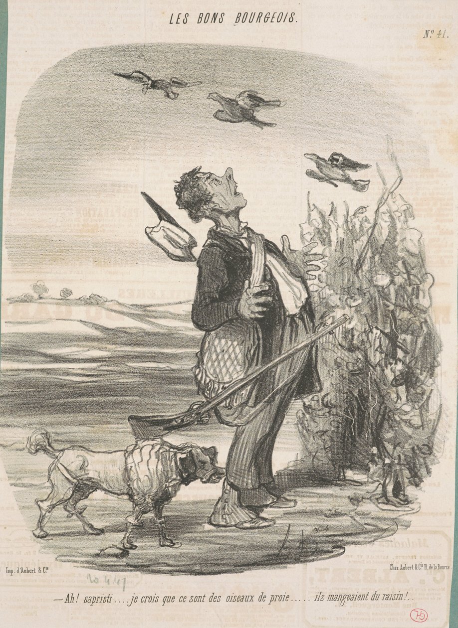 Ah! ... Credo che siano uccelli rapaci ... da Honoré Daumier