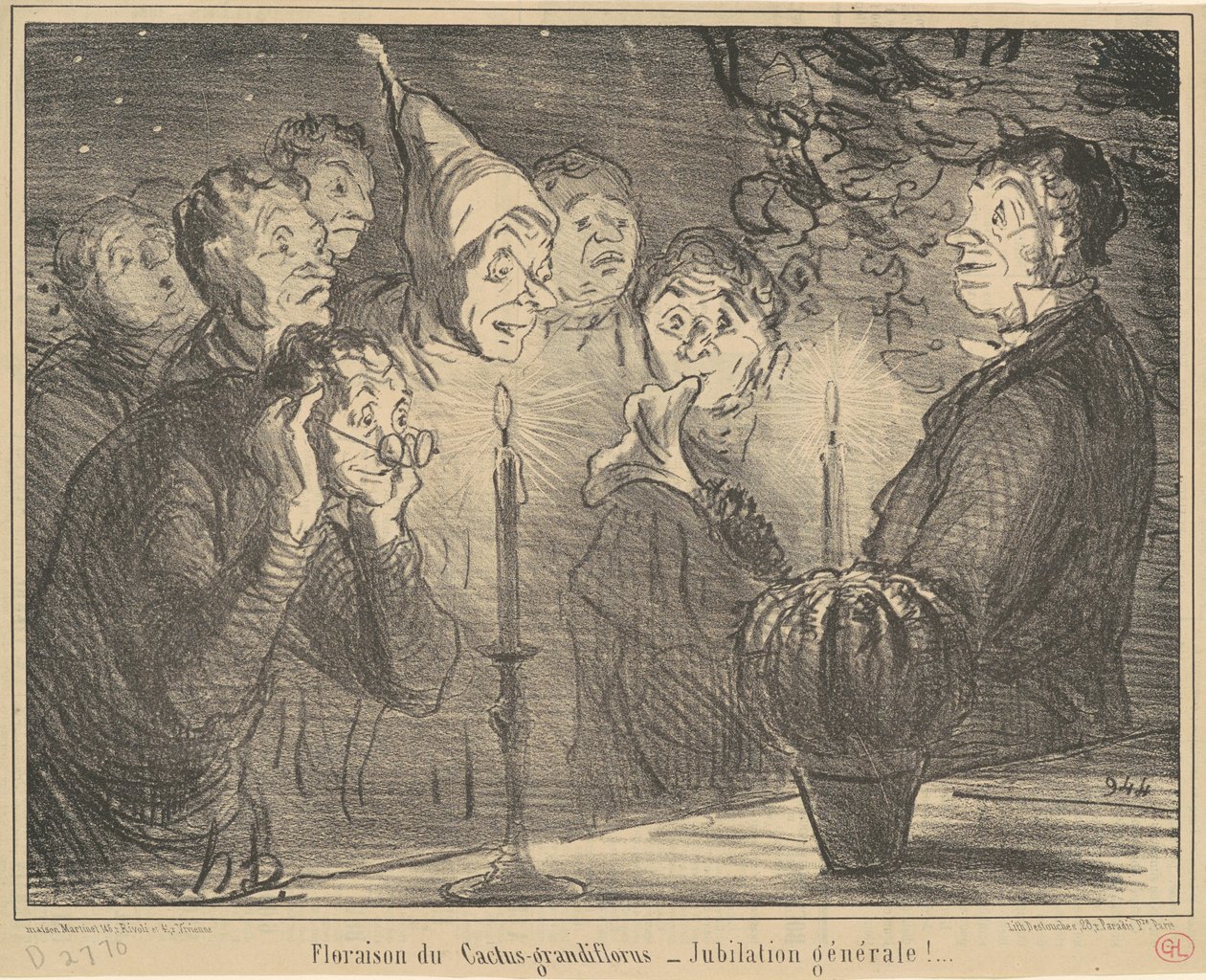 Fioritura del Cactus-grandiflorus da Honoré Daumier