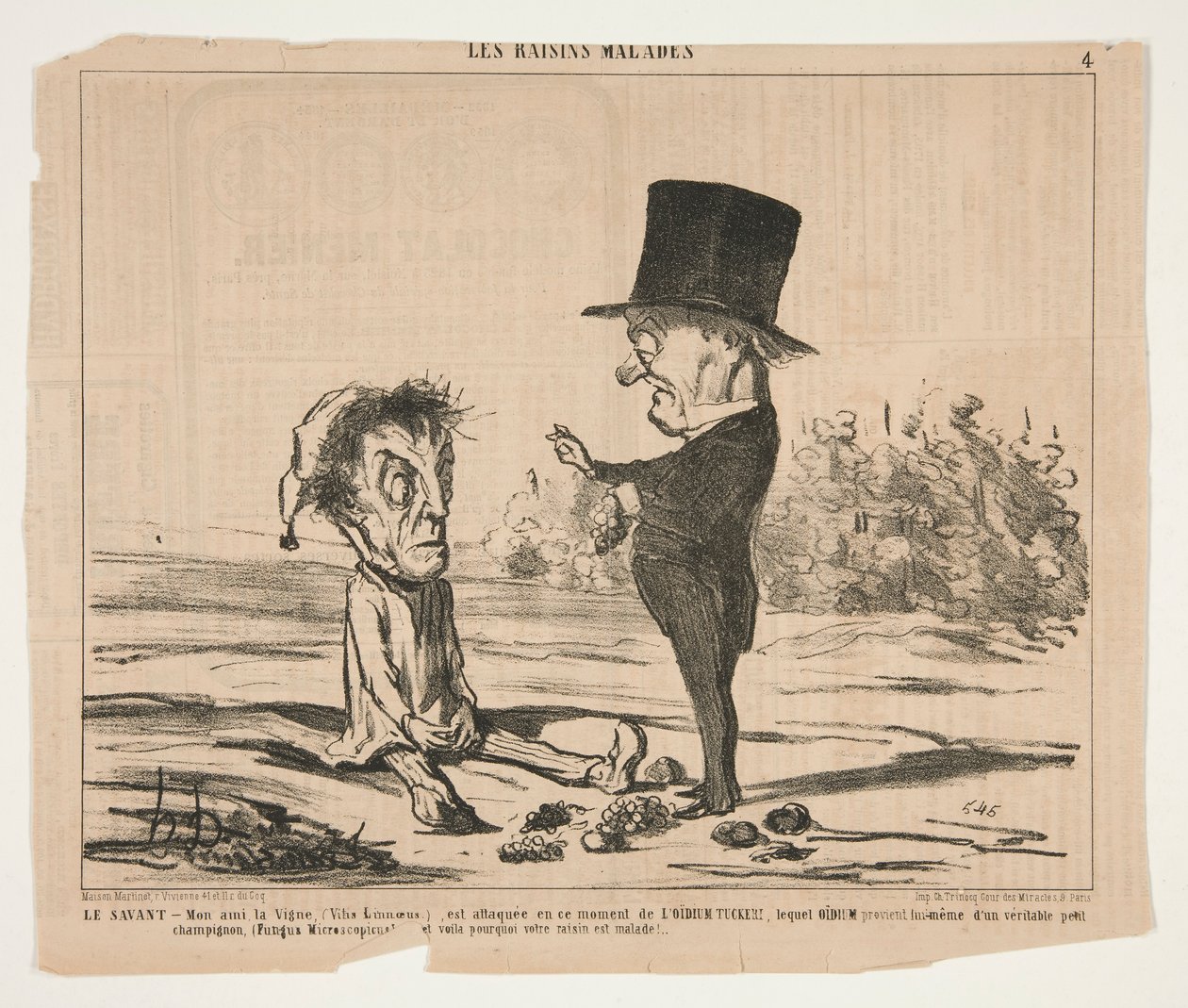 Il Sapiente - Amico mio, la Vite, (Vitis Linnoeus.), è attaccata in questo momento da Honoré Daumier