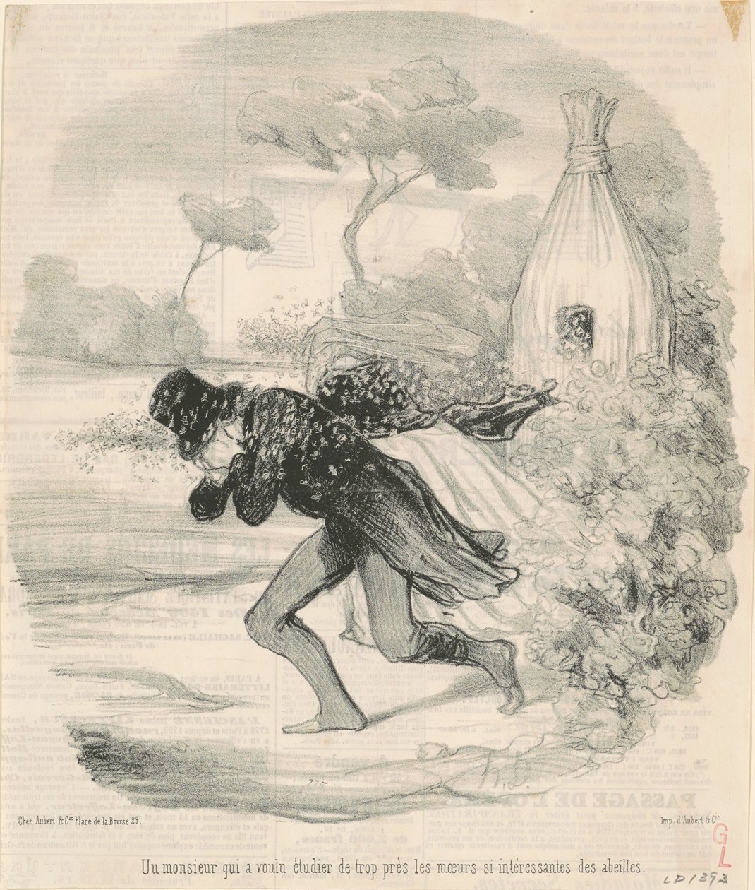 Un signore che voleva studiare ... i costumi ... delle api da Honoré Daumier