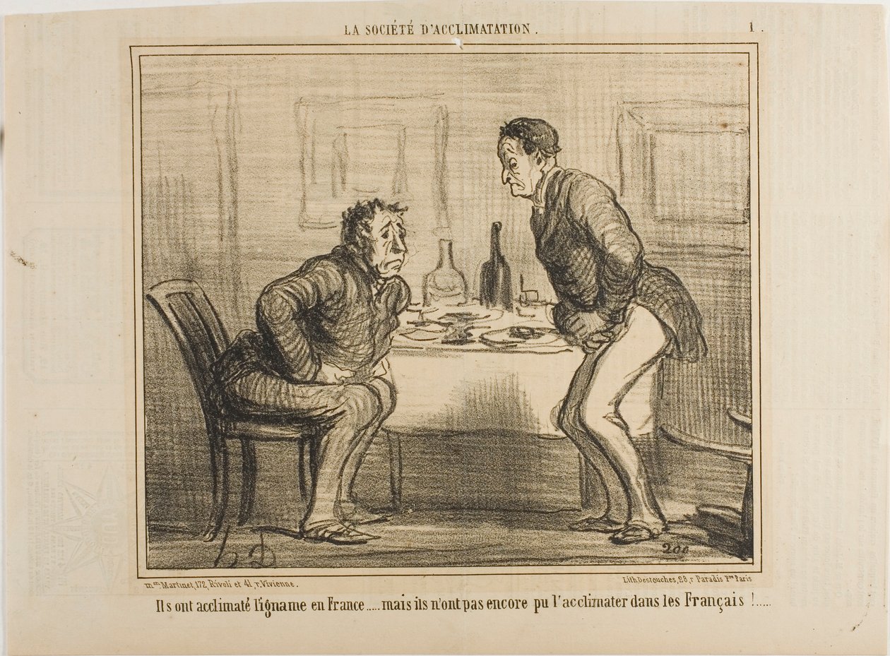 Sono riusciti ad acclimatare la patata indiana al clima francese, ma è ancora un problema acclimatare i francesi alla patata indiana!, piatto 1 da La Société D