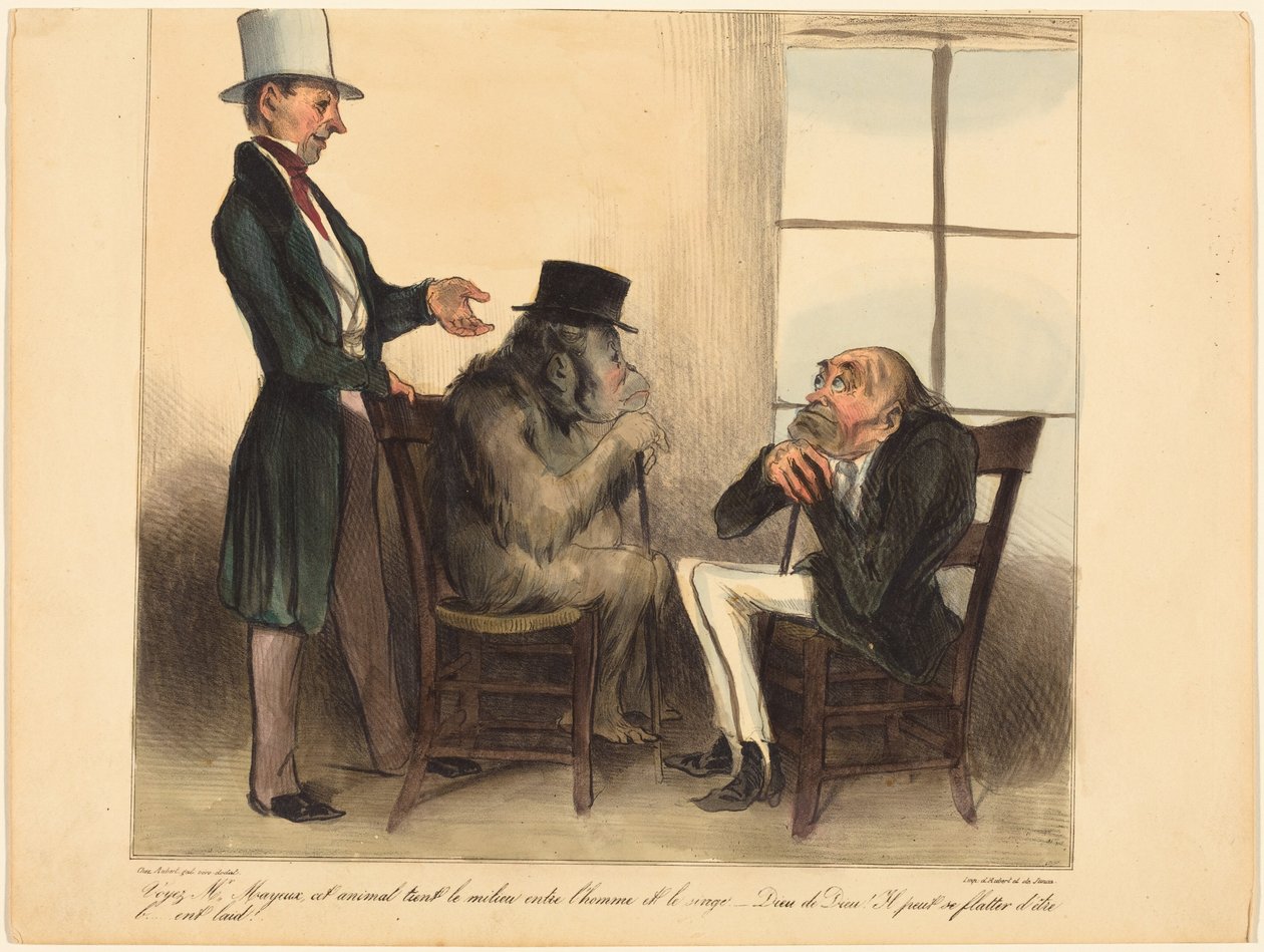Guardate, signor Mayeux, questo animale... da Honoré Daumier