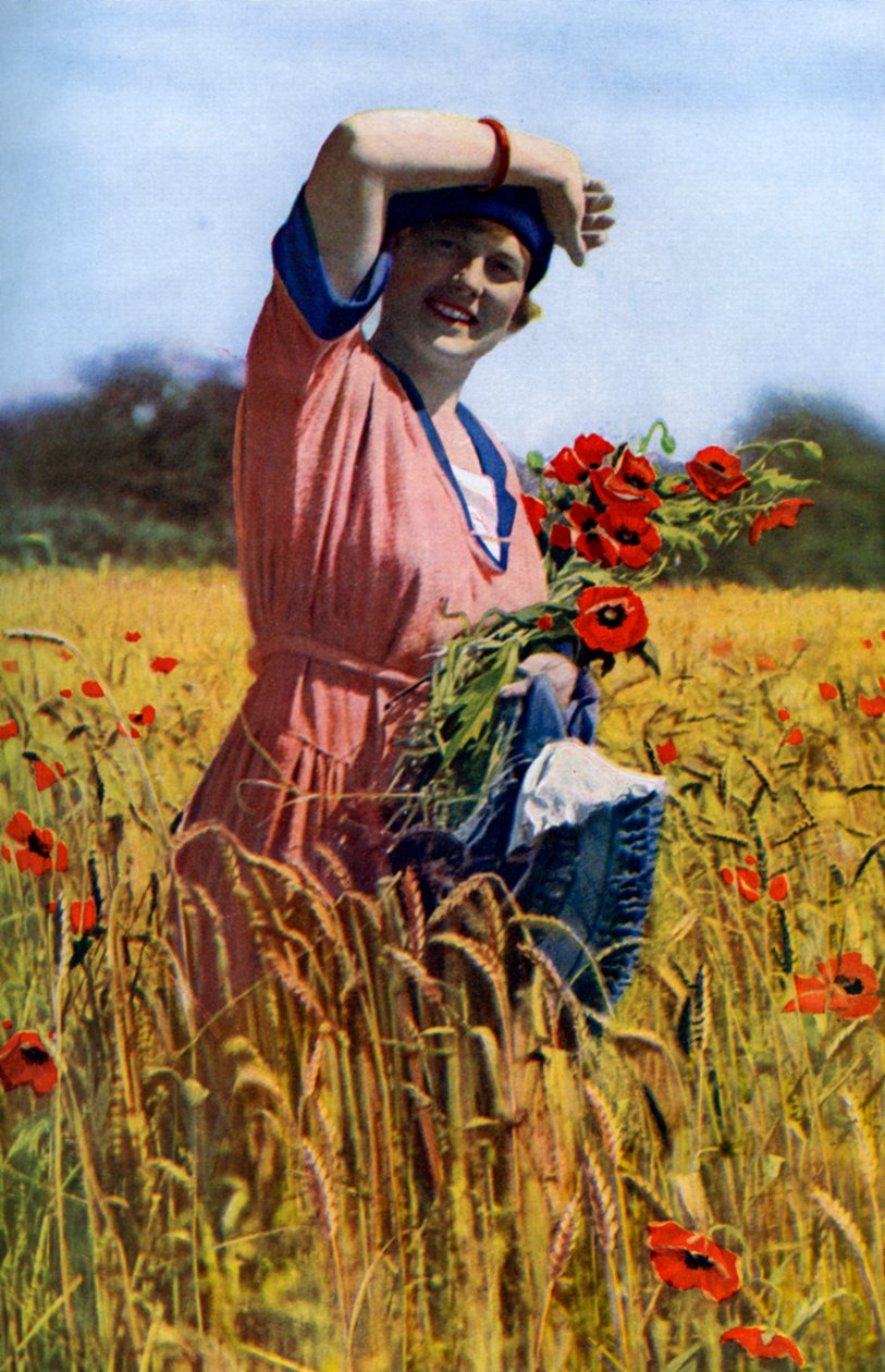 La rosa inglese, c1922 da Horace Walter Nicholls