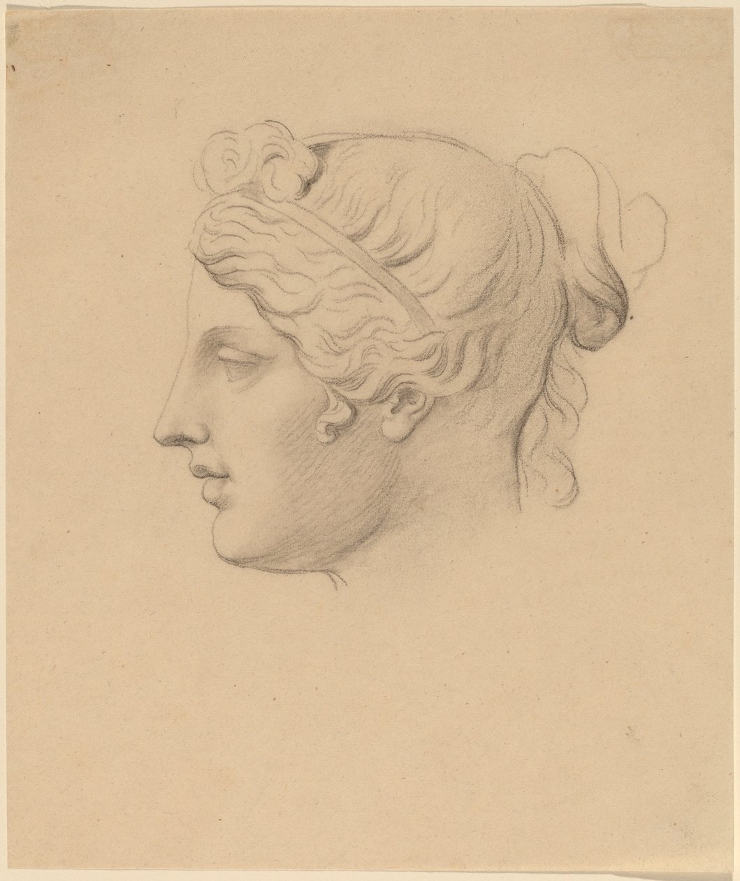 Testa classica di profilo da Horatio Greenough