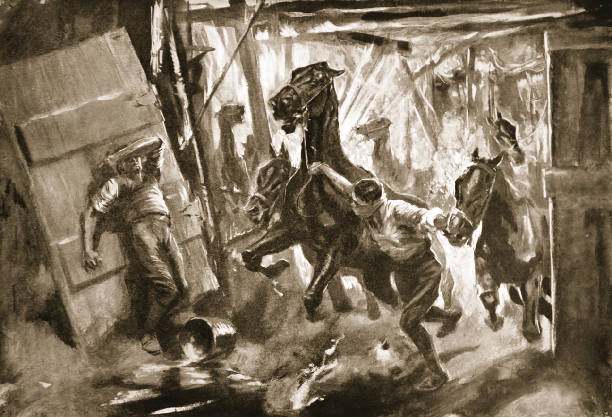 Il maresciallo provvisorio Cussens che estrae cavalli dalle stalle in cui è esplosa una granata da Howard K. Elcock