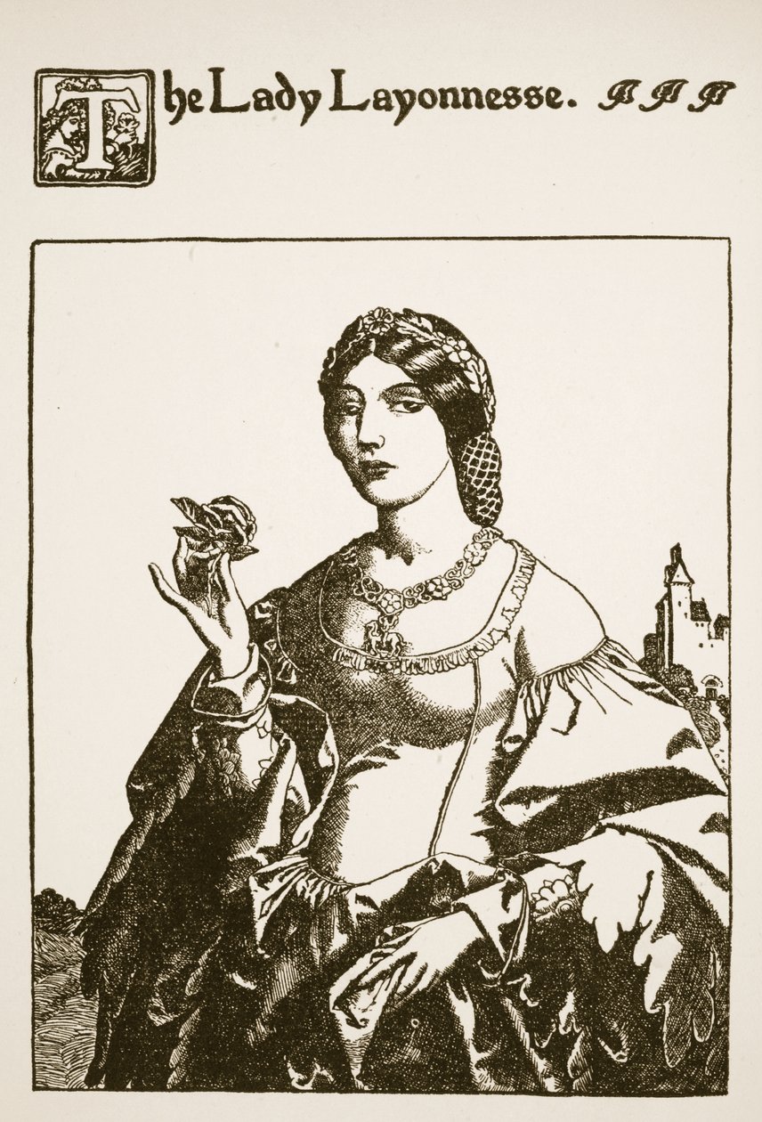 La Signora Layonnesse, illustrazione da 