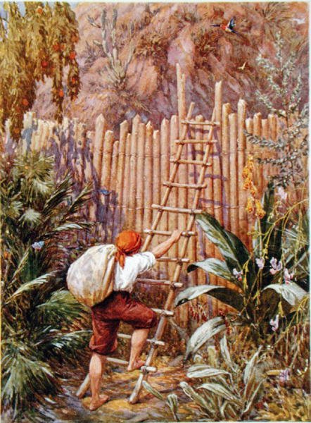 Crusoe e la sua fortezza, illustrazione per 