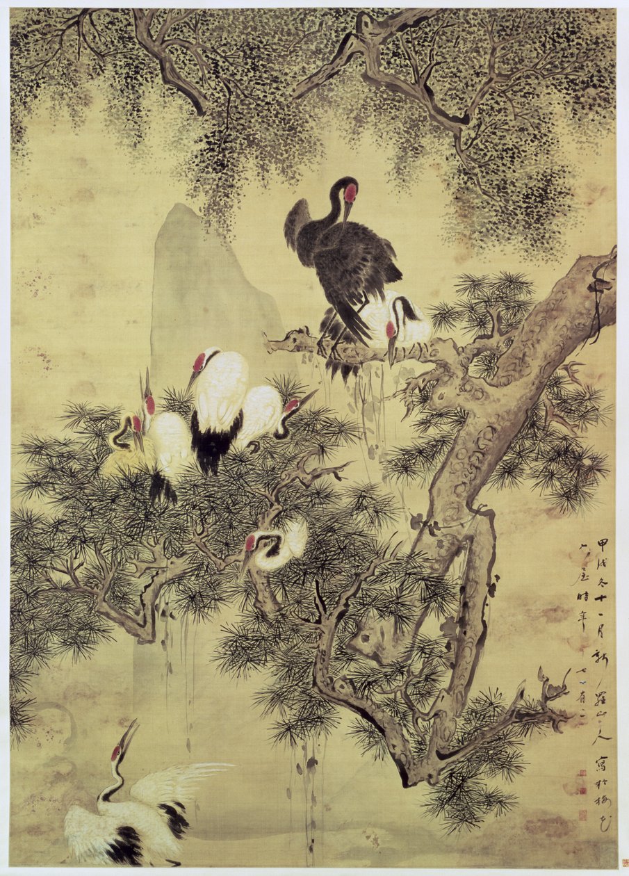 Otto aironi crestati rossi su un pino, 1754 da Hua Yan