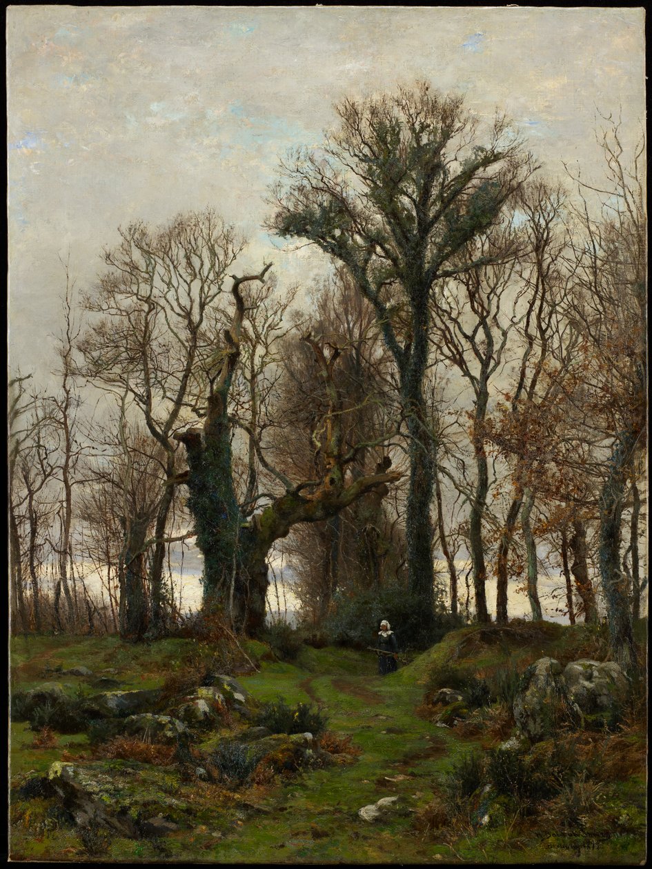 Bordo della brughiera, Bretagna, 1877 da Hugh Bolton Jones
