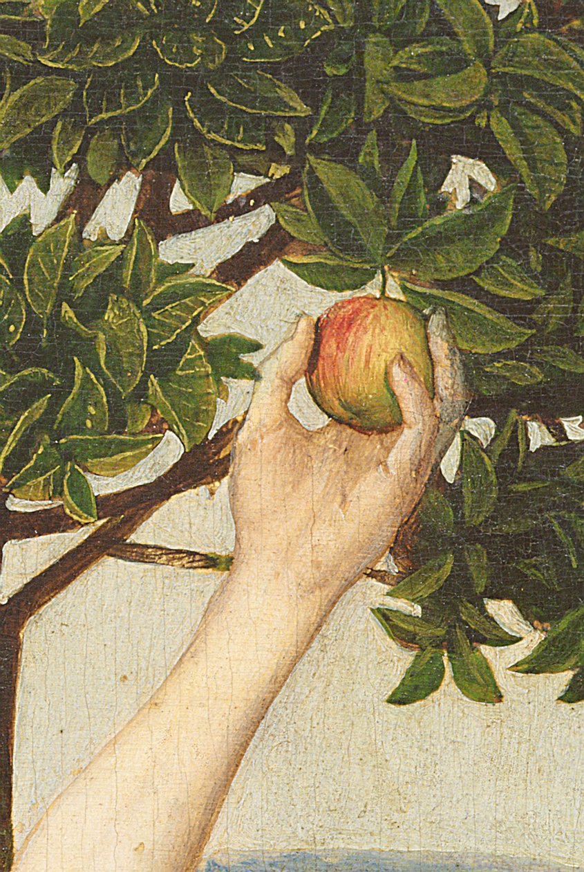La caduta (dettaglio) da Hugo van der Goes