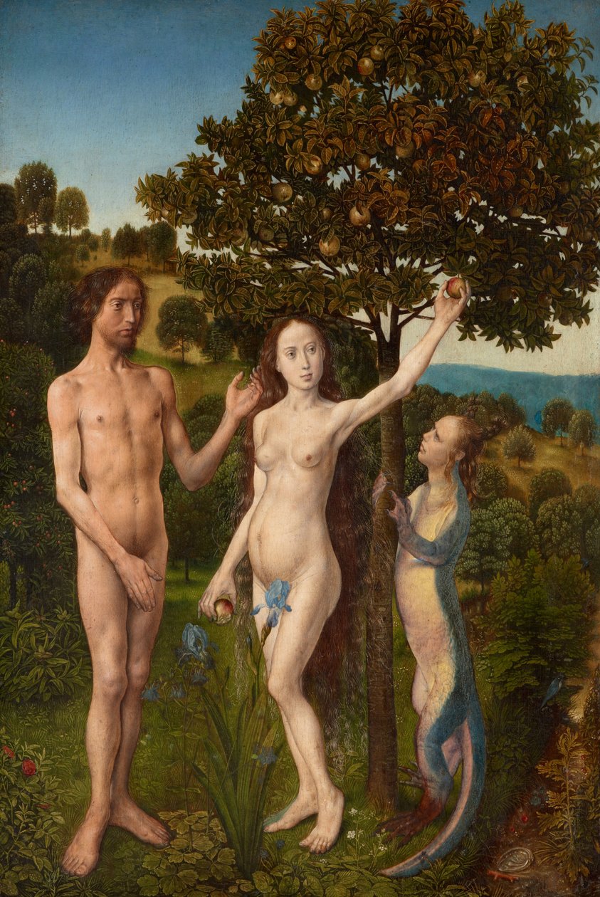 La caduta dell