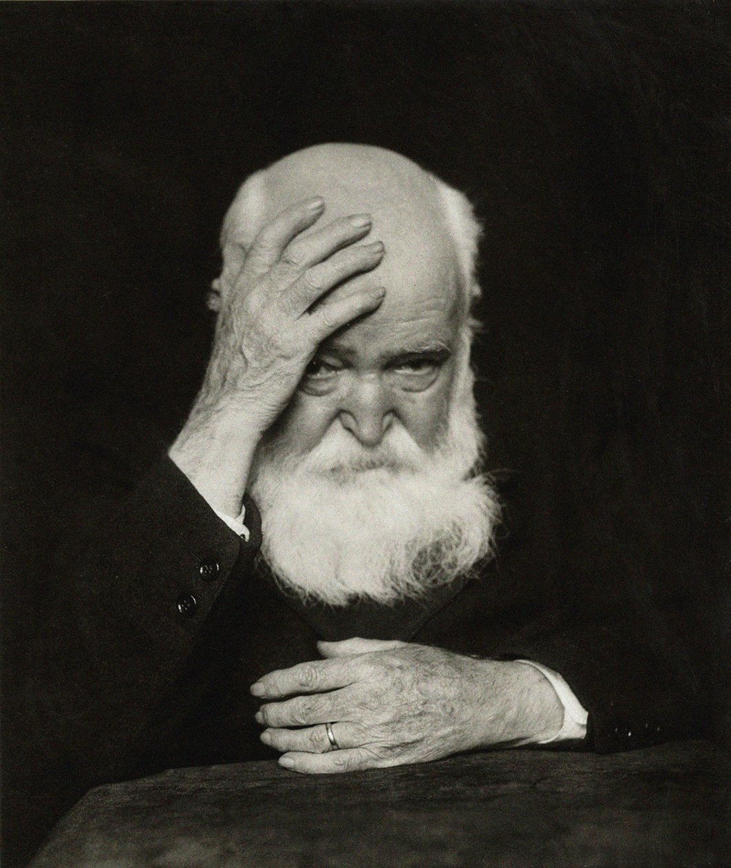 Ritratto dell