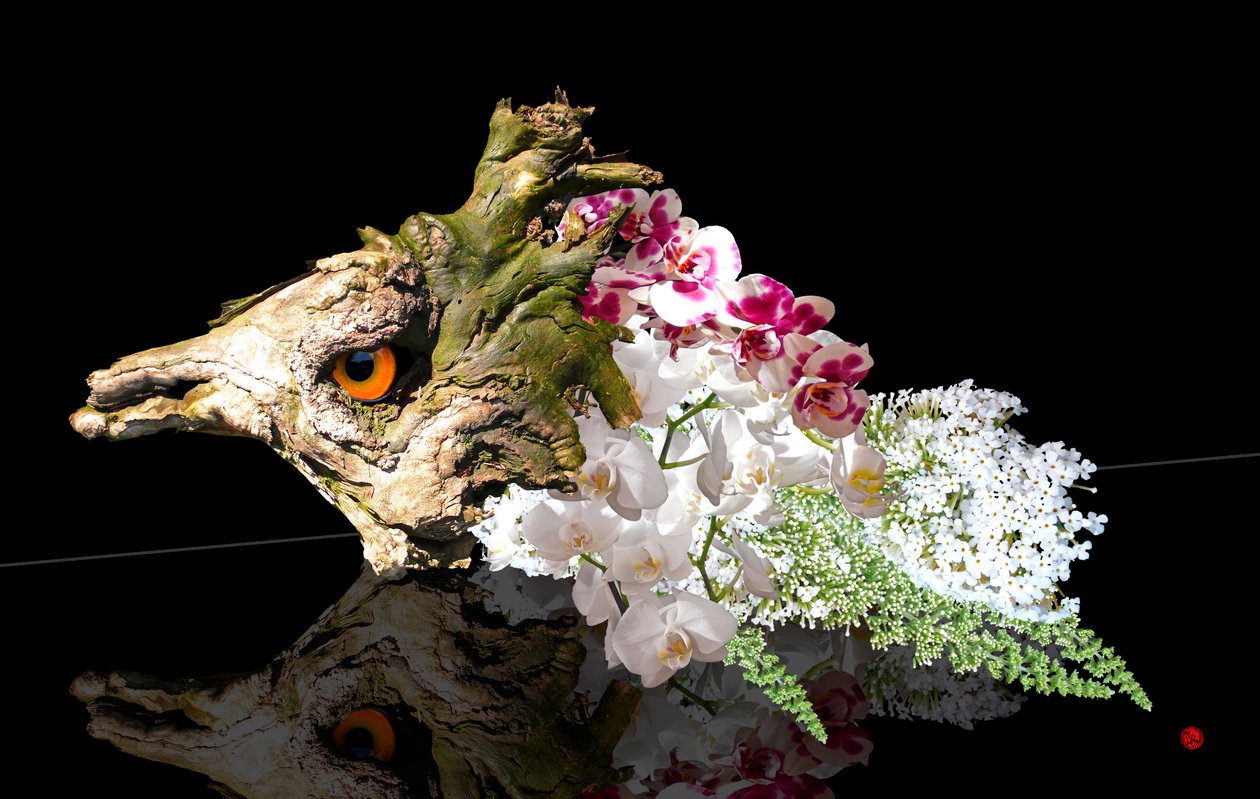Creature fantastiche da Hugo Nefe