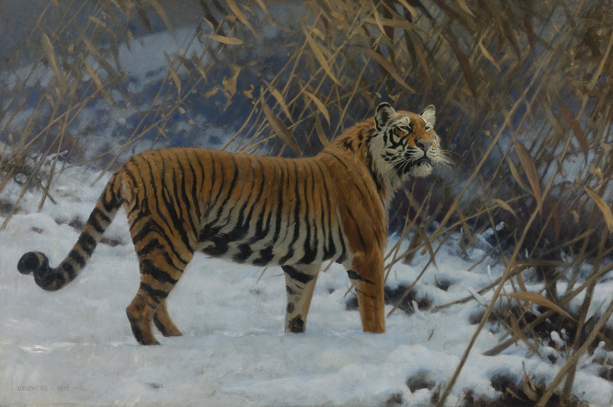 Una tigre nella neve da Hugo Ungewitter