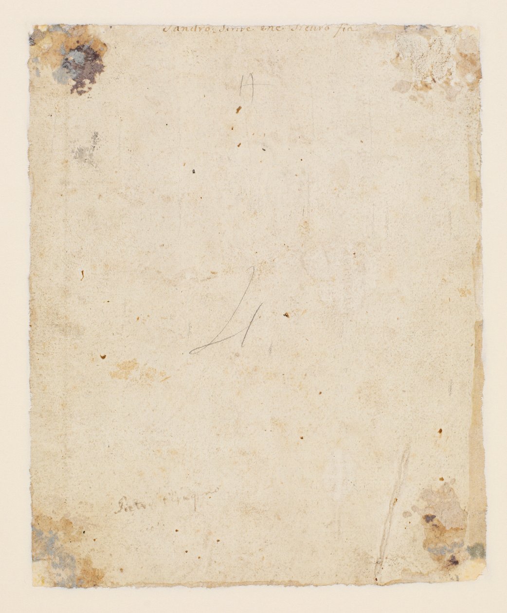 Iscrizione sul retro: centro superiore, inchiostro marrone, mano italiana del XVIII secolo: "Sandro scrive che sicuro fia"; sotto, inchiostro marrone, mano del XIX secolo: "Petro Perugino" da Hugo van der Goes