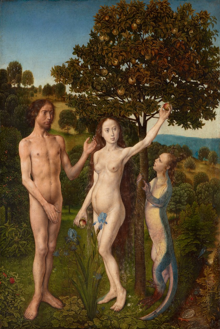 La caduta dell