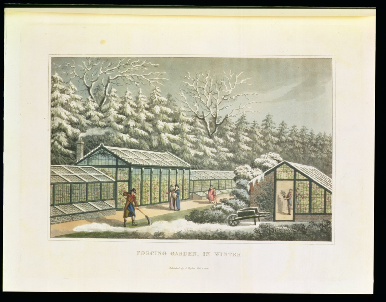Giardino forzato in inverno, da 