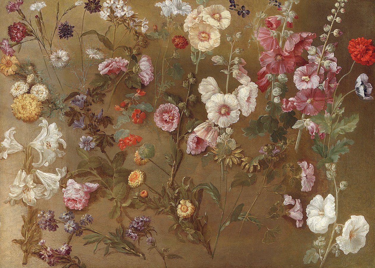 Composizione di studi floreali tra cui garofani, fiori di cuscino, saponaria, malva; malvarosa, calendule africane, nontiscordardimé da Hyacinthe Francois Rigaud