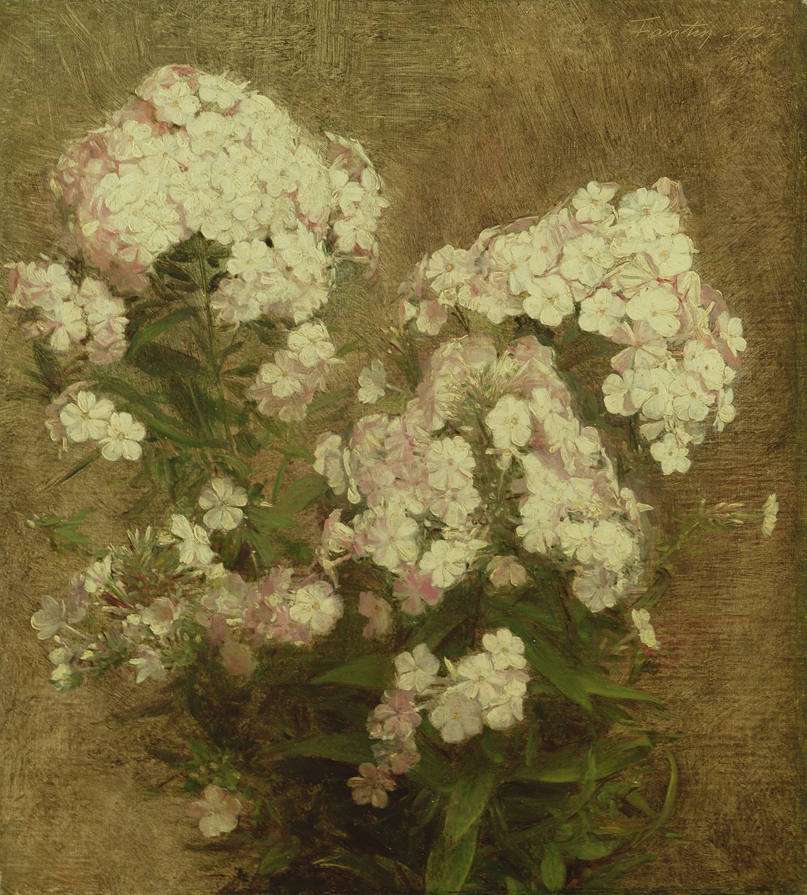 Phlox, 1870 da Ignace Henri Jean Fantin Latour