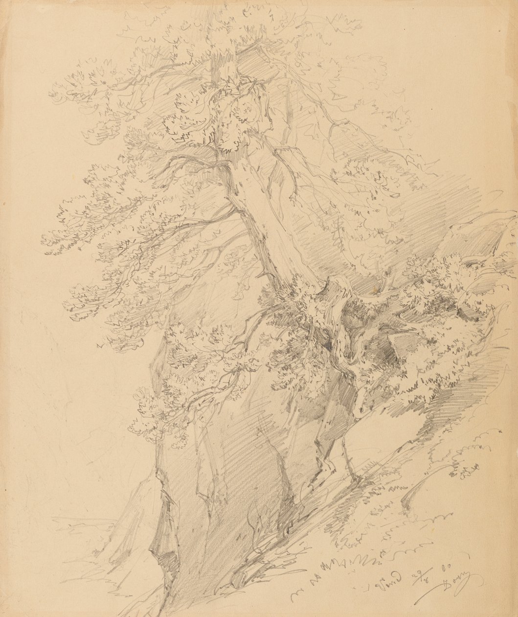 Studio di albero da Ignaz Dorn