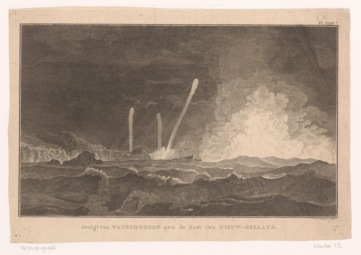 Vista di trombe marine sulla costa della Nuova Zelanda da Ignaz Sebastian Klauber